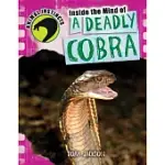 INSIDE THE MIND OF A DEADLY COBRA