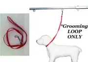 PET Dog Cat NYLON RESTRAINT Noose LOOP w/Clip for Grooming Table Arm Bath*RED