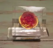 Beautiful Yellow/ Orange Rose Acrylic Lucite Paperweight signed Sitz