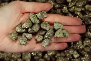 18 lbs Pyrite 'Fools Gold' Rough Stones - 0.5 to 1 inch - Crystal Mineral Rock