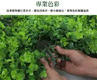 在飛比找松果購物優惠-尤加利 花草牆 60*40cm 仿真植物牆 背景牆 綠化景觀