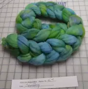 Targhee Wool Combed Top Roving Spinning Handpainted Dyed Felt USA NWT Treefrog
