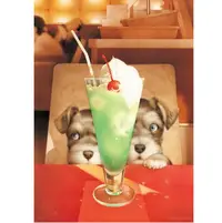 在飛比找Yahoo!奇摩拍賣優惠-村松誠 冰淇淋汽水與小狗 (Epoch, 500片,06-5