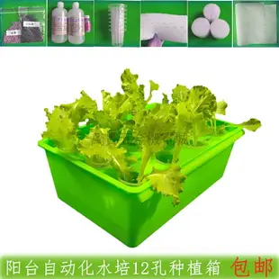 熱銷新品 耐用型 無土栽培設備家庭蔬菜陽臺種菜箱水培種菜水耕設備種菜神器種植箱