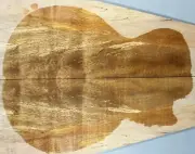 Figure Electric Bass Top Spalted Ripple Maple Wood Bookmatch Set Luthier Supply