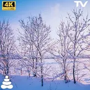 Snowfall Bliss: Peaceful Winter Ambience Screensaver for TV