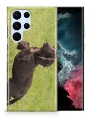 CASE COVER FOR SAMSUNG GALAXY|COCKER SPANIEL DOG 2 170