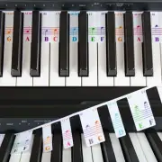 88 Key Full Size Piano Rake Key, Colorful Piano Keyboard Notes for Beginner