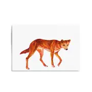 Australian Dingo Painting Animal Nursery Wall Art