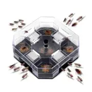 Cockroach Lizard Insect Reusable ON Non Poison Large Killer Trap Catcher Box ECO