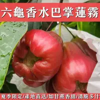 在飛比找生活市集優惠-產地直送六龜香水巴掌蓮霧5斤 中果/大果