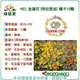 【綠藝家】H53.金蓮花(阿拉斯加)種子10顆