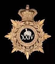 The 24TH 2ND Warwickshire Regiment Blue Cloth Officers Helmet Plate