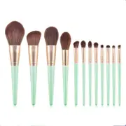 12pcs Poppies Makeup Brushes Set Beginner Foundation Eye Shadow Loose Powder Blush Highlight Brush