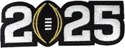 Rugby Football Champions Embroidered Patches Iron On Sew On (2025)