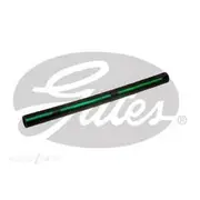 Gates Radiator Hose - 24442