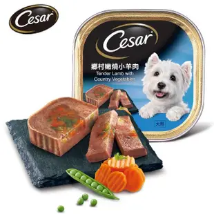 【Cesar 西莎】經典風味餐盒 100g*24入 寵物/狗罐頭/狗食