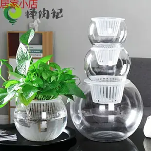 透明水培花盆花瓶植物擺件水培植物玻璃瓶容器水養盆栽器皿綠蘿