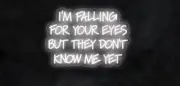 NEW "I'M FALLING FOR YOUR EYES BUT THEY DON'T KNOW ME YET'" 30x21 LED SIGN LF189