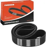 Serpentine Belt Replacement for Mack TerraPro 2016 MRU, 12.8L Diesel