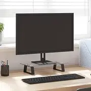 Monitor Stand, Computer Screen Riser Desk Stand, Modern Design, Loading capacity 20 kg, 40 x 20 x 8 cm, Tempered Glass and Metal
