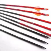 6/12pcs Carbon Arrow 31 Inch Length Archery Arrows for Compound/Recurve Bow