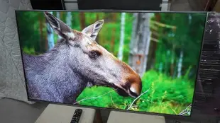 Panasonic 國際牌 55吋 4K 智慧聯網 液晶電視 TH-55FX700W