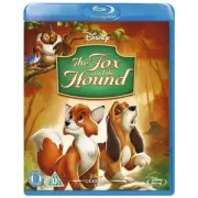 The Fox and the Hound