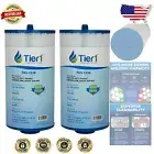 40 sq ft Replacement Filter Cartridge for Pools & Spas - Easy Installation