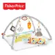 【奇哥】Fisher-Price 費雪 感官訓練可愛動物健身器