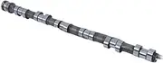 11317576160 Engine Intake Camshaft Compatible With BMW N55 3.0L Engines Components Camshafts Lifters Parts Automobiles Parts 2011-2018