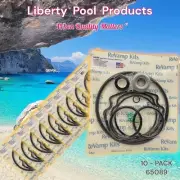 SMF-56 FRAME Replaces Swimming Pump 65089 For Waterway™ Fits GO-KIt89 10-PACK