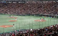 在飛比找KLOOK 客路優惠-東京讀賣巨人棒球比賽之旅（含英語專家）