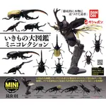 「芃芃玩具」 BANDAI 扭蛋 轉蛋- 生物大圖鑑 迷你昆蟲 甲蟲 獨角仙鍬形蟲全套6款販售 貨號76713