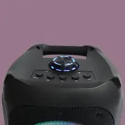 Majority PS200 - Party Speaker 80w Bluetooth Karaoke & PA System - Black
