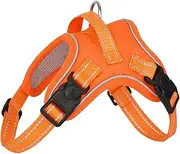 BYVCUI Dog Harness No Pull Adjustable Reflective Oxford Front Clip Vest for Small Medium Large Dogs Walk Training Pet Owners Easy Control Soft Back Handle Easy to Put on & Take Off (Orange, L)