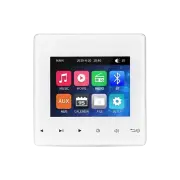 Mini Wall Amplifier Bluetooth Smart Sound System Theater Stereo Ceiling Speaker