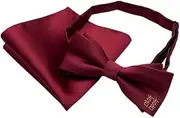 [GTLZHFXS] Bow Ties For Men 1 Set Of Wedding Bow Tie Burgundy Festive Embroidered Bow Square Scarf Set Burgundy