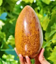 Large Crystal Mariam Jasper Egg Handmade Crystal Home Office Decorative Egg Gift