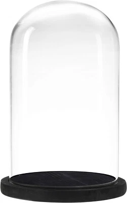 6 x 10 Inches Clear Glass Cloche Bell Jar Display Case w/ Rustic Black Wood Base