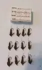 Dry fly Stone fly Brown size 14, 12, 10, 8, 6, $8.75 Per dozen