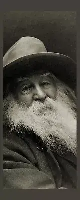Walt Whitman - Poet - Laminated Photo Bookmark - 2.5 x 6 in