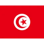 Tunisia National Flag World Flags Country Poster Huge Wall Art Print Giant