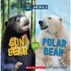 Hot and Cold Animals: Sun Bear or Polar / Scholastic出版社旗艦店