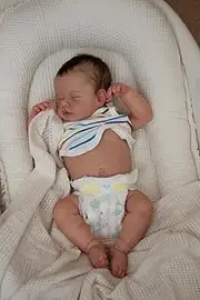 BNNPUU Reborn Baby Boy 19 Inch Handmade Washable Reborn Doll Soft Vinyl Body Realistic Boy Doll