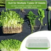 Bean/Seed Sprouter Tray with Lid And A Bag Of Organic Barley Seeds