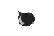 Northcote Pottery 20.5cm Sleeping Cat Black White Resin Animal Statue Ornament