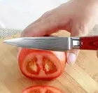 Paring Knife 67 Layers Damascus Steel Wood Handle Fruit Slicing Peeling Utility