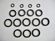 2 Taylor Model 432 Shake/Flush Beater Door Assembly O-Ring Kits / R&S 2-210T