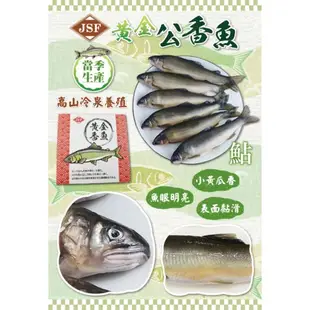 帶卵母香魚 公香魚 宜蘭養殖 適合中秋烤肉